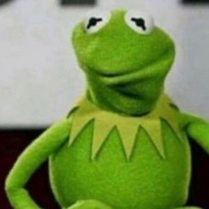 Meet your Posher, Luis